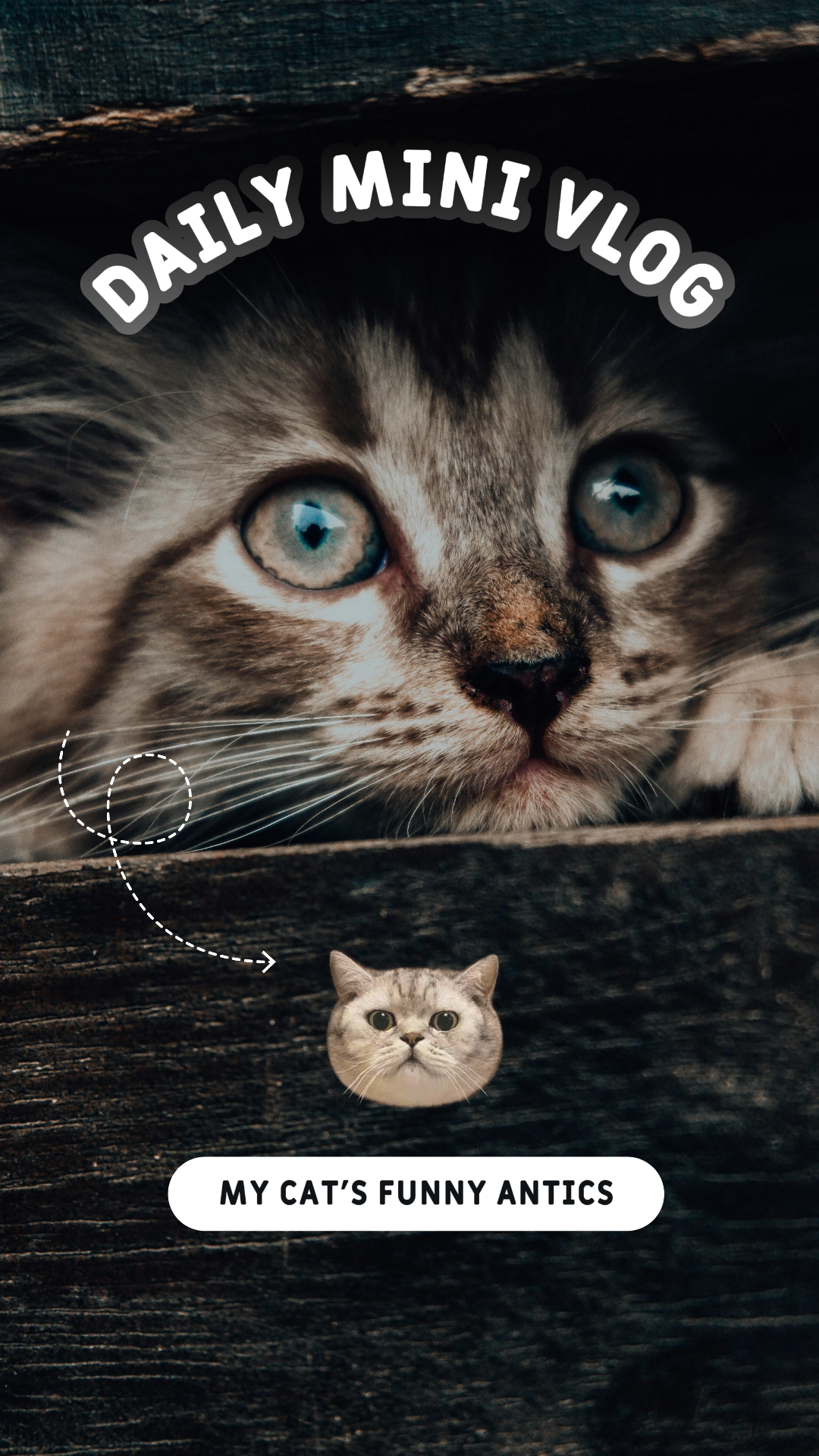 vignette tiktok mon vlog quotidien pour animaux de compagnie