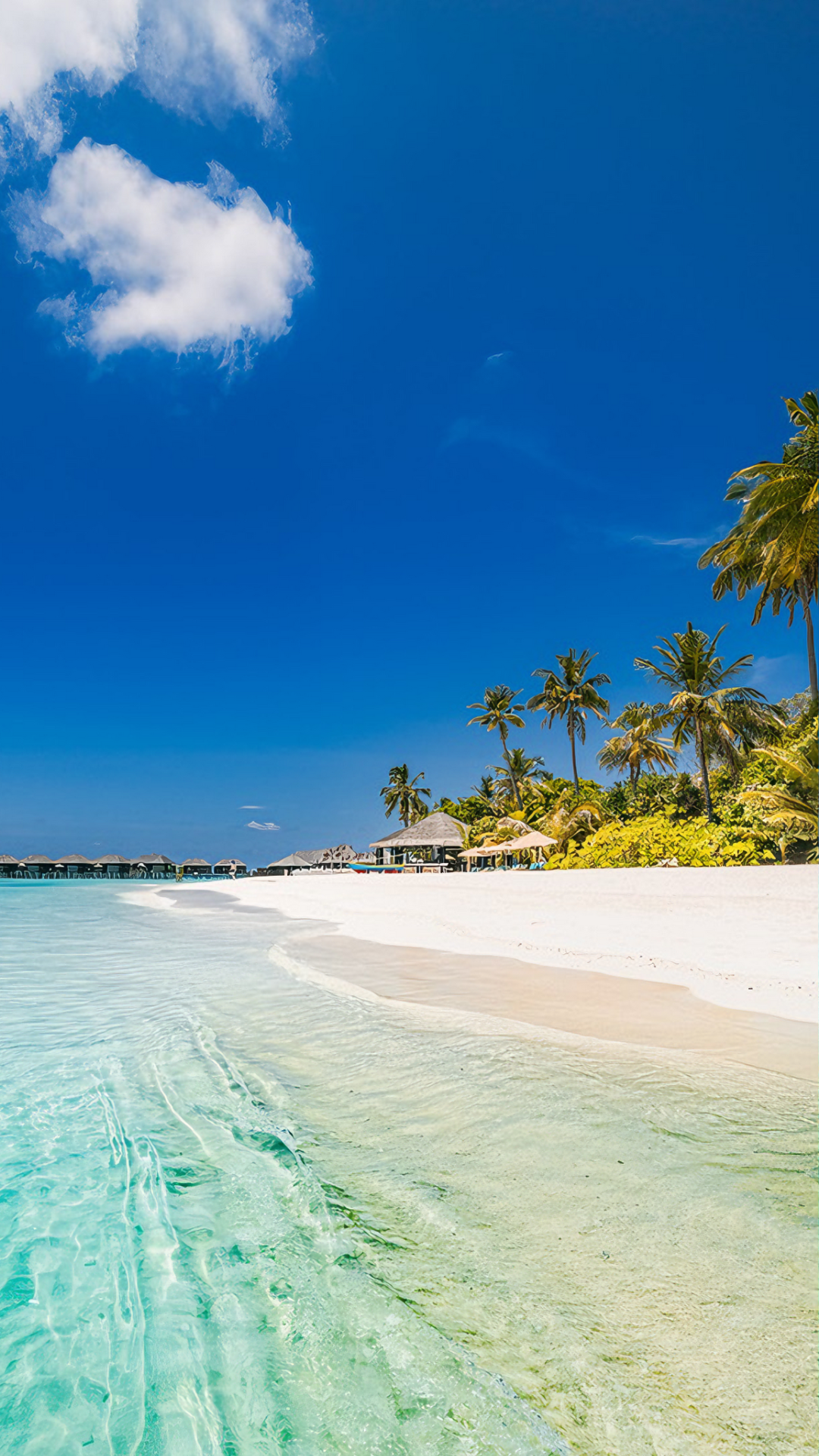 Wallpaper poster kreatif pemandangan pantai