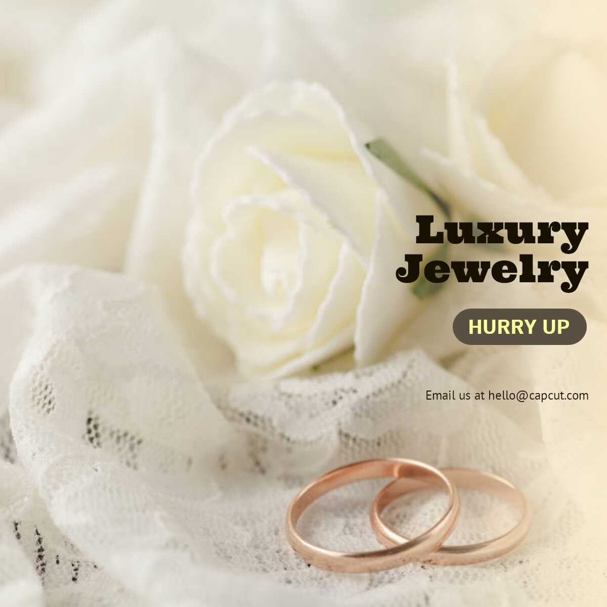 Jóias e Acessórios Exibição de Produtos