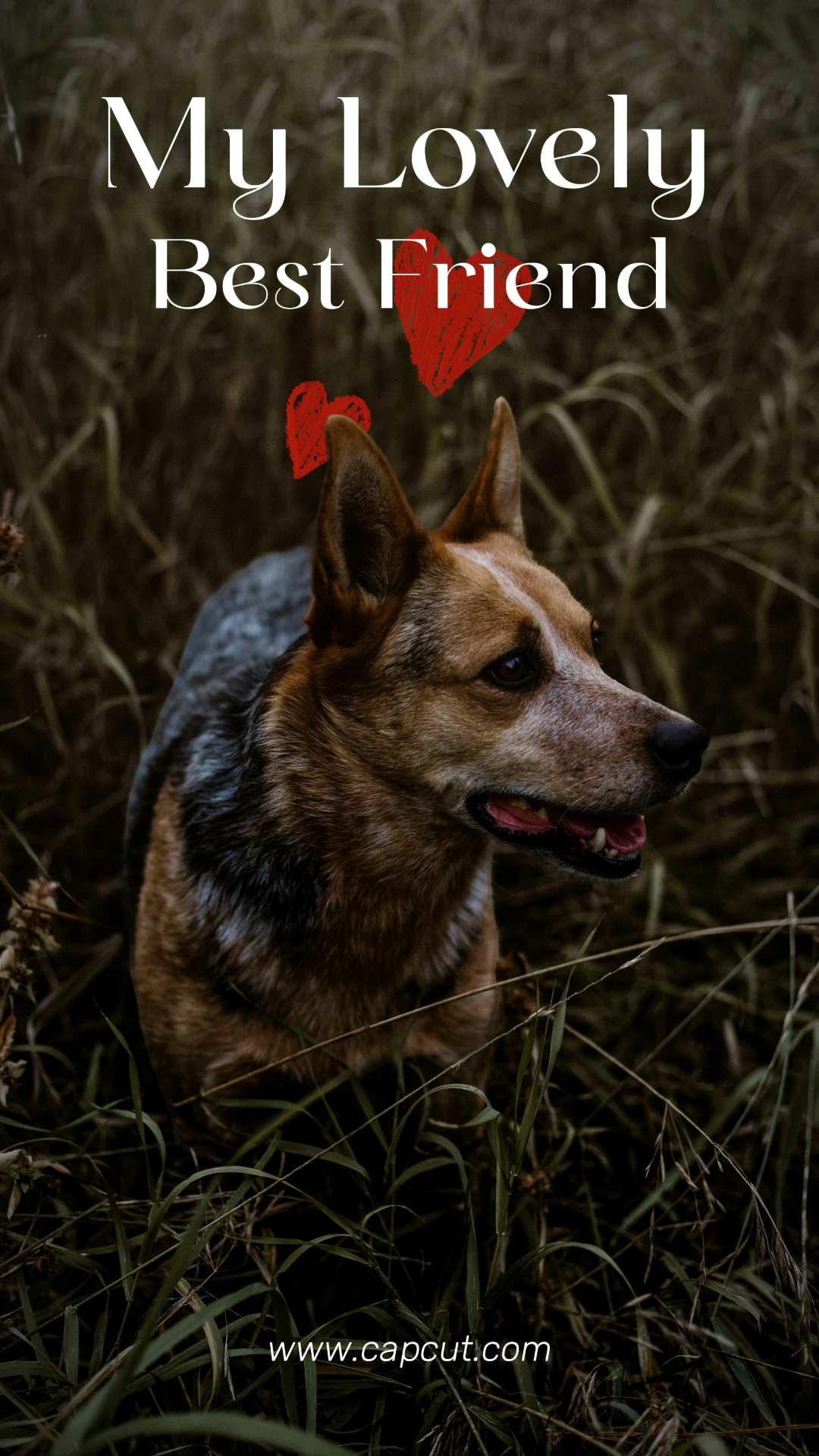 capcut template cover