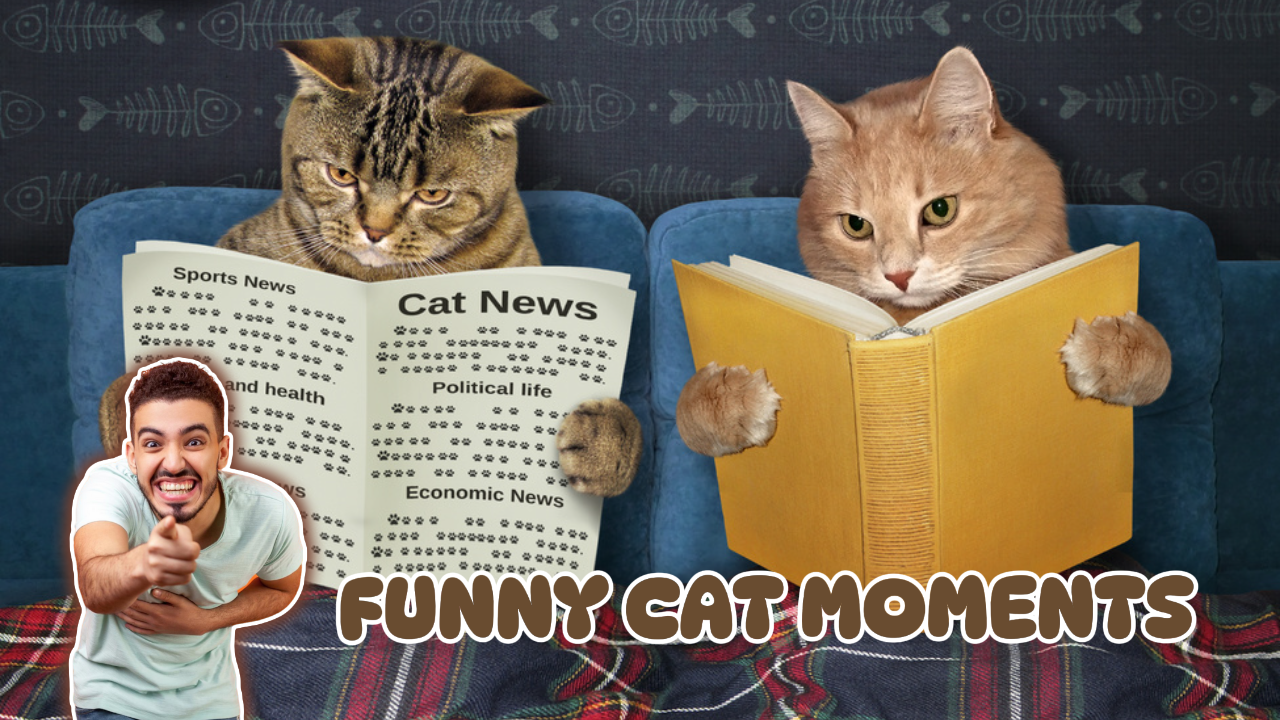 Vignette YouTube - Réaction