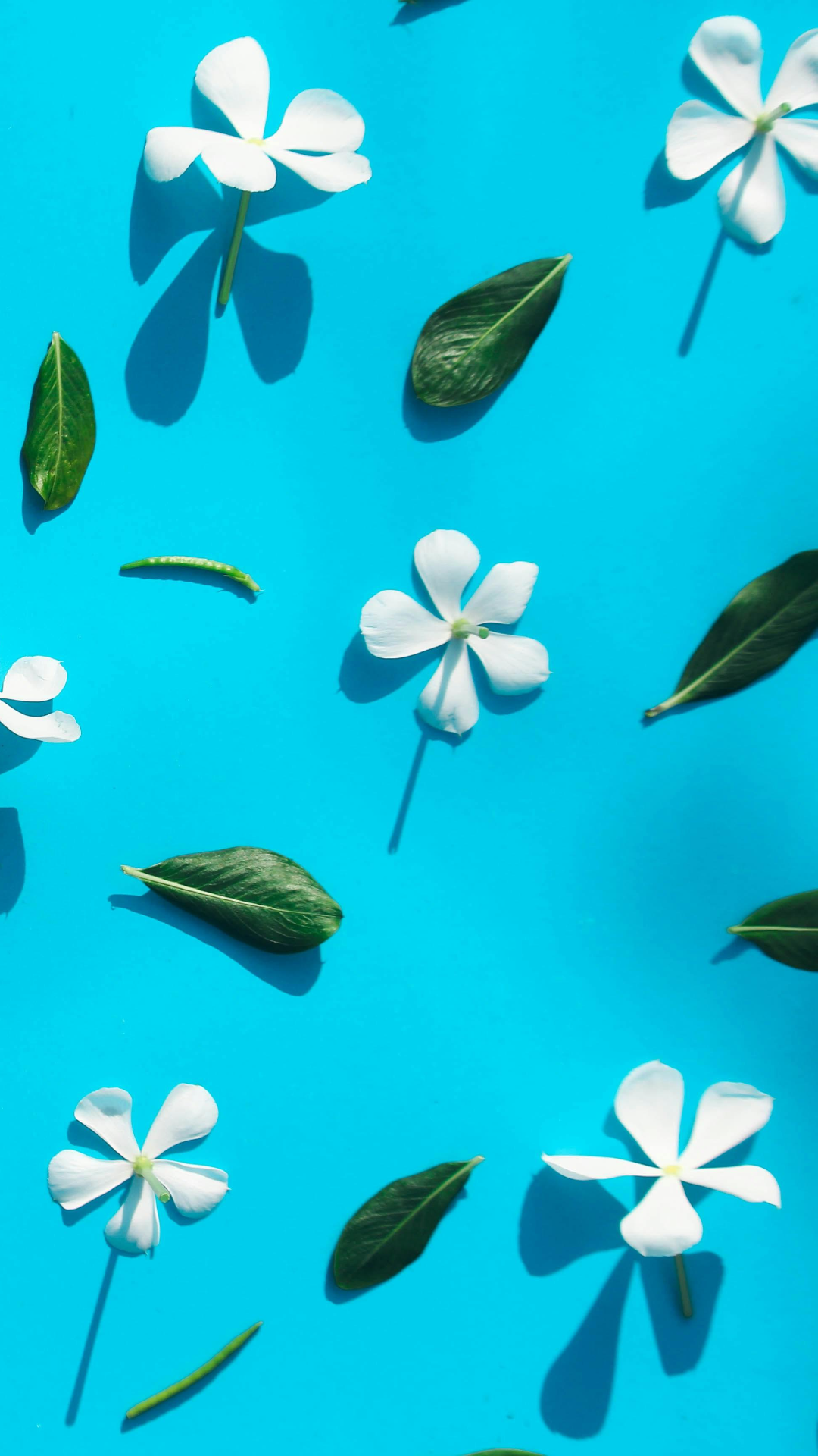 Papel de parede criativo cartaz flor