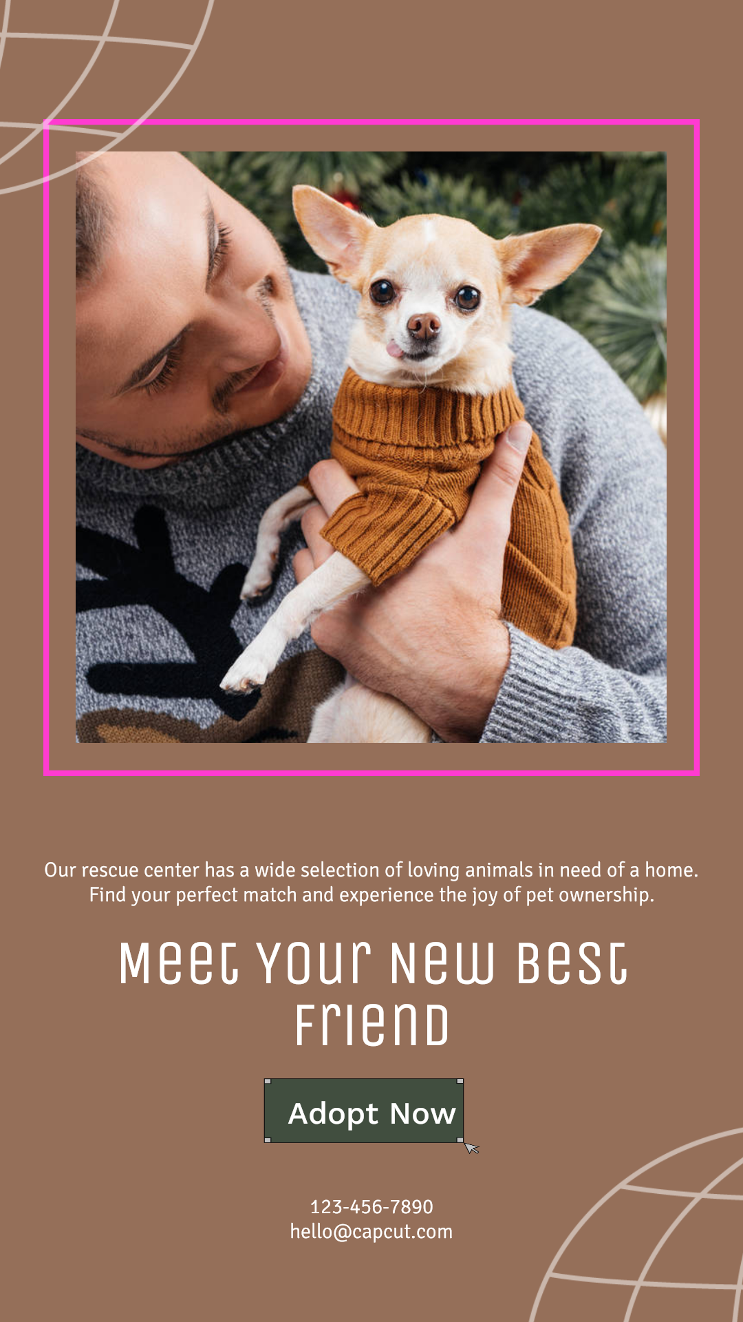 Industria de mascotas Introducción personal