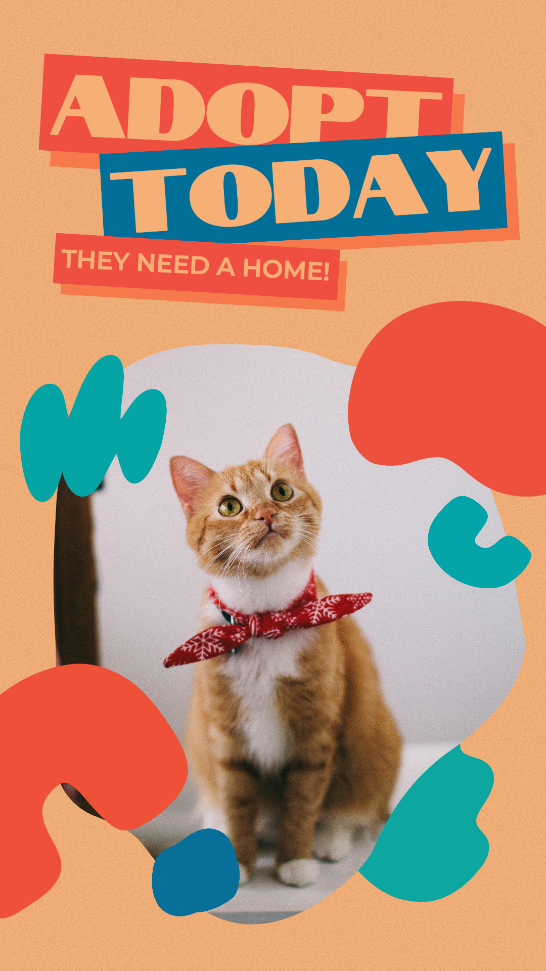 ¡Las mascotas en miniatura de TikTok adoptan hoy!