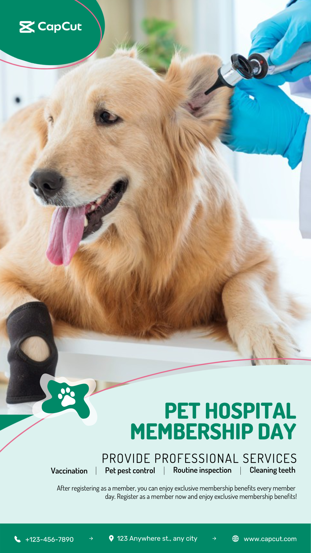 Día De Membresía De Mascotas 