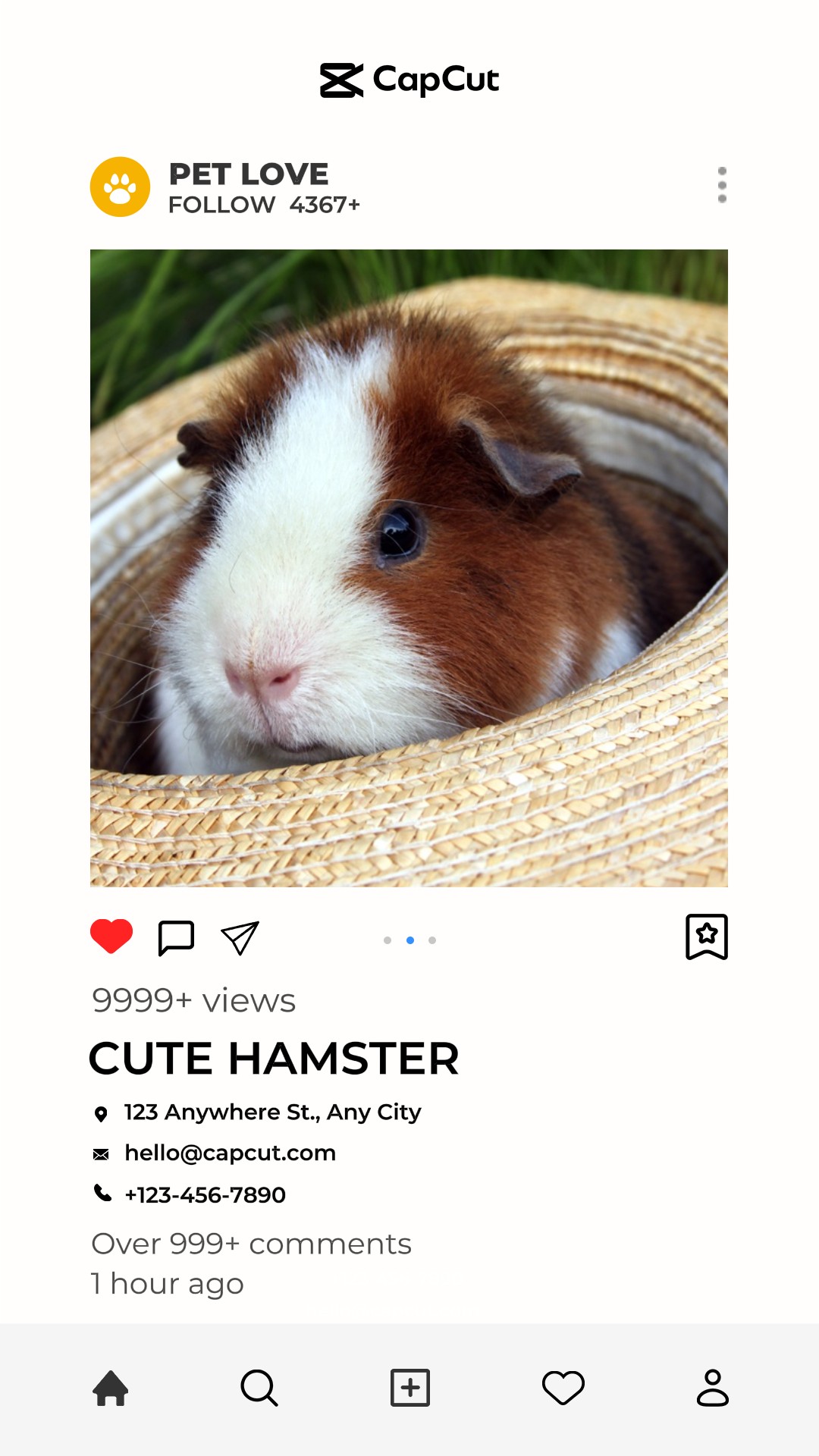 capcut template cover