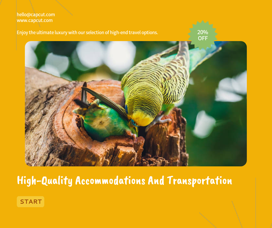 Affichage des effets de l'industrie du voyage