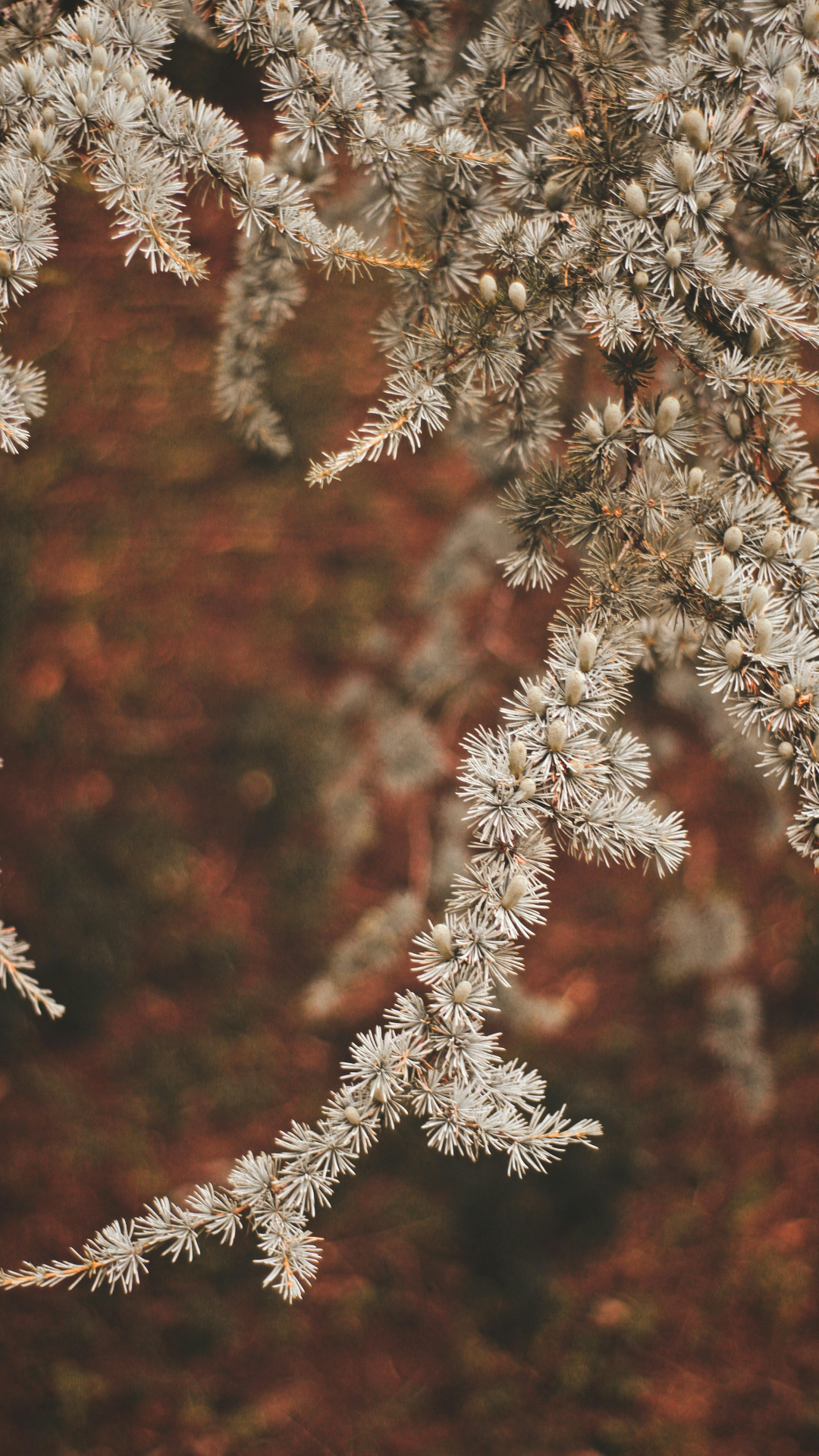 Tapete Kreatives Poster Blume