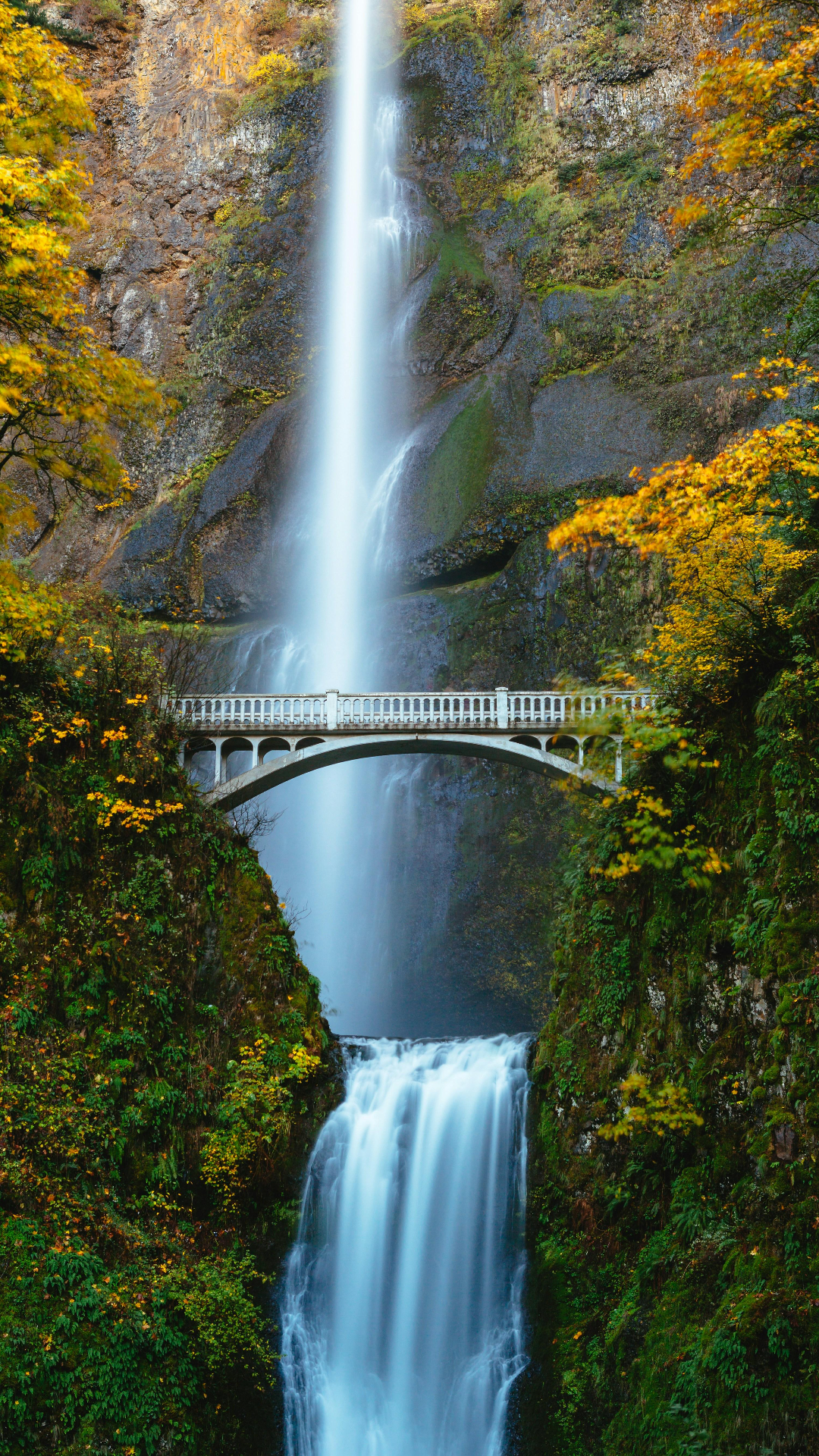 Fondo de pantalla cartel creativo cascada