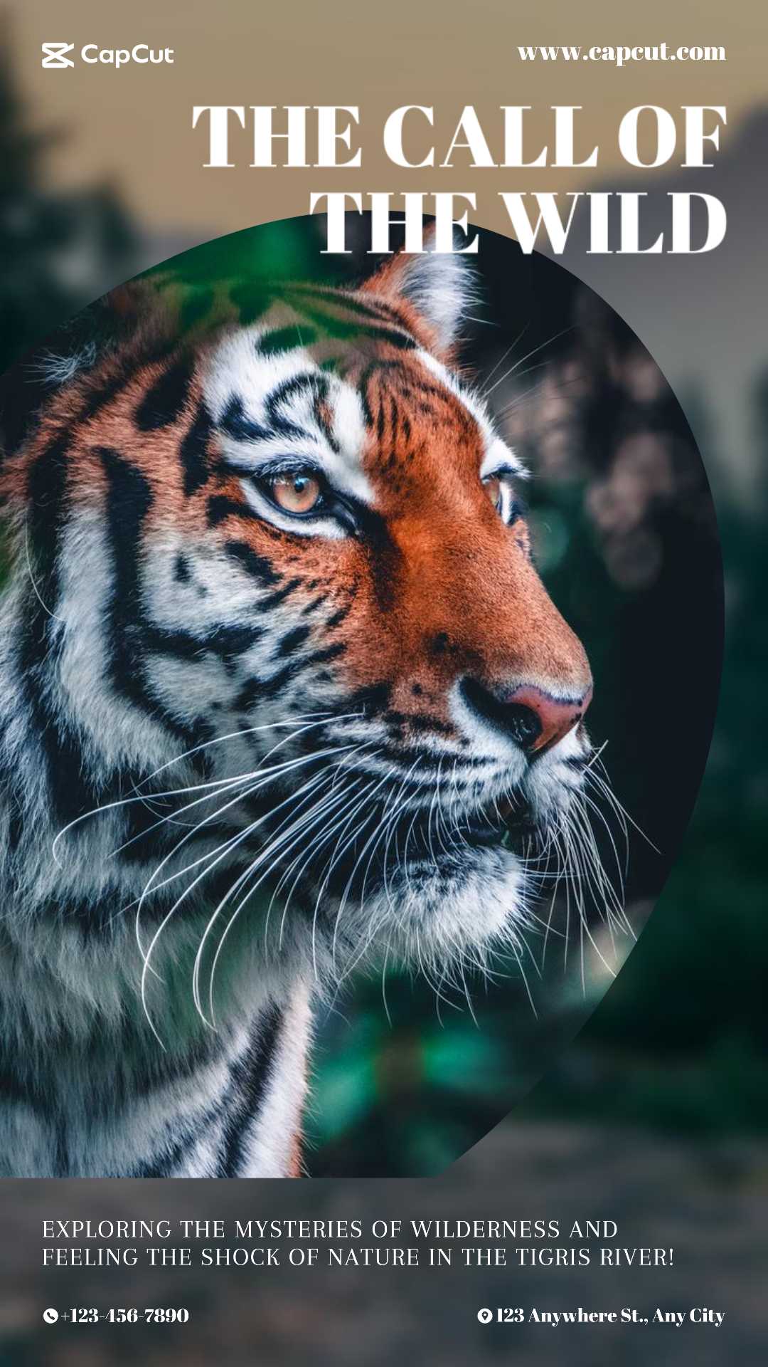 capcut template cover