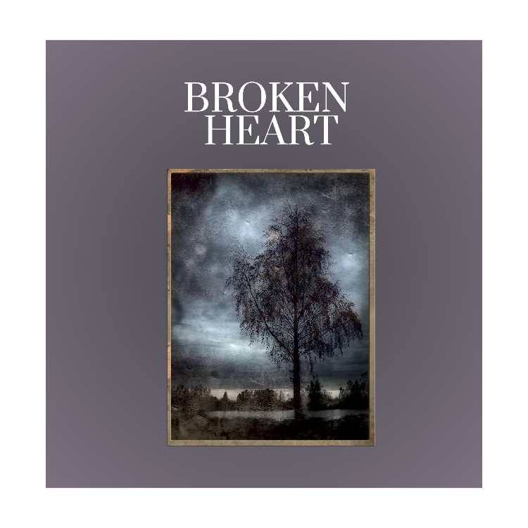 Non-Marketing Album Cover Broken Heart