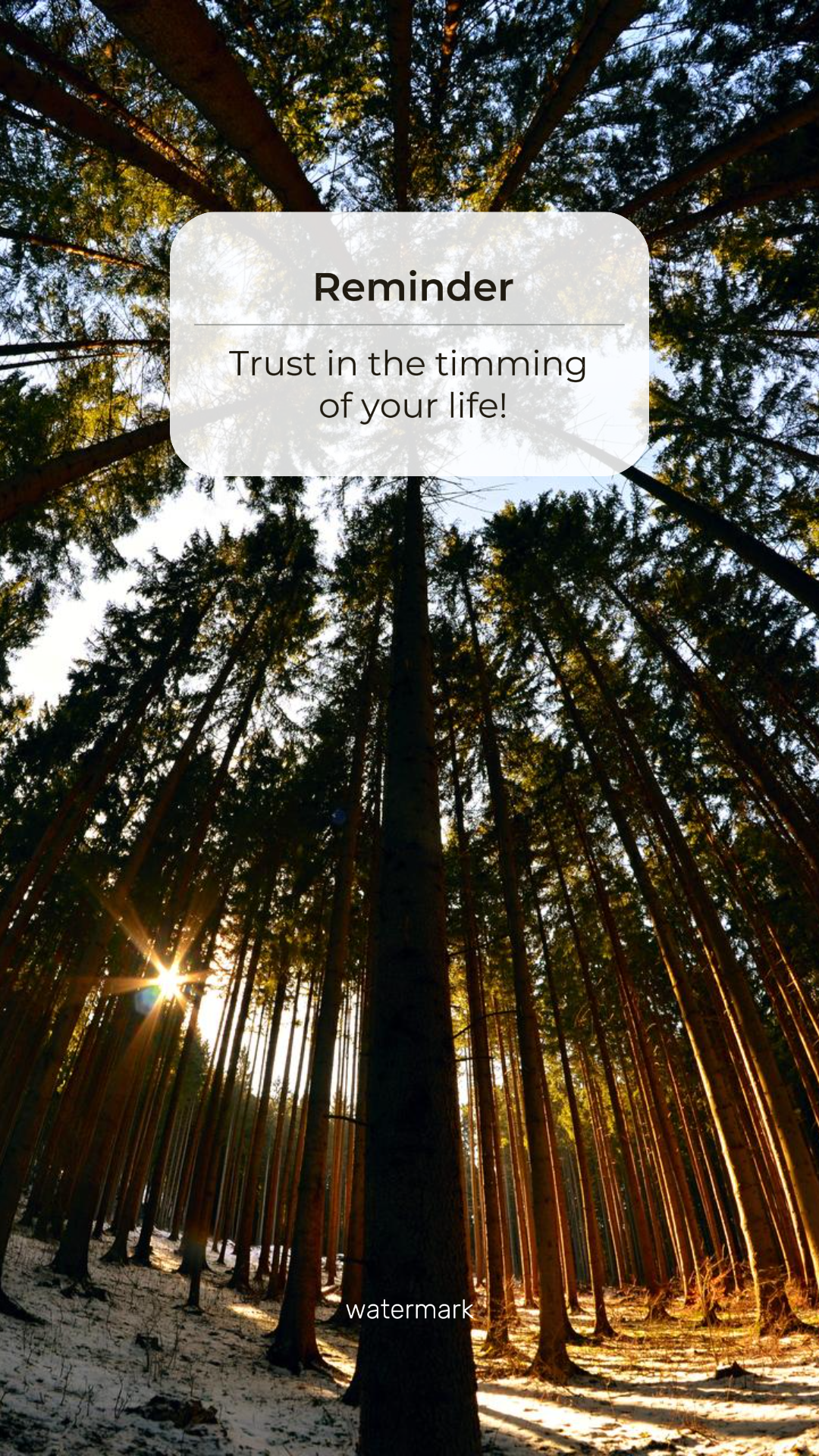 Wallpaper Creative Poster Kutipan Pengingat "Percayalah pada timming hidup Anda"