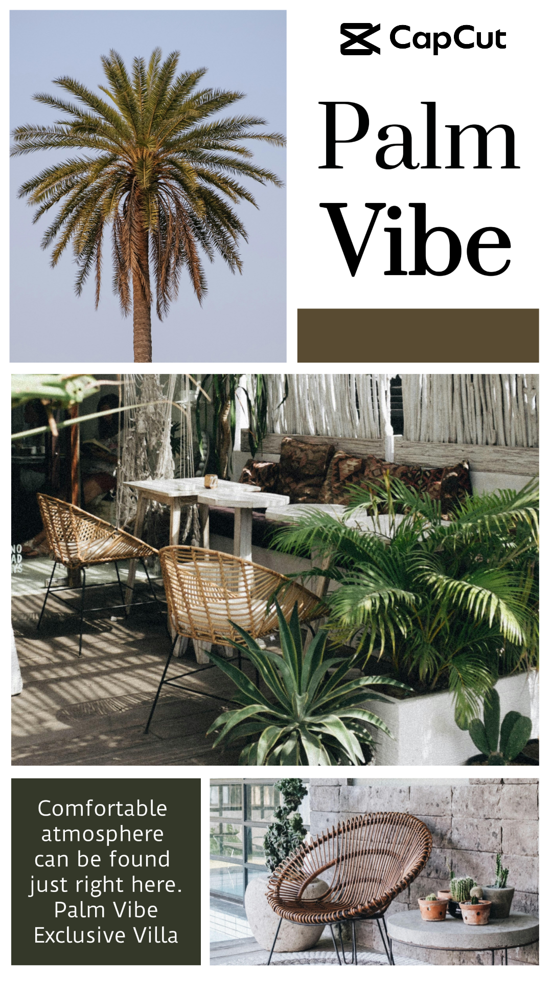 Minimalist Collage - Palm Vibe Instagram Story - Marketing Poster