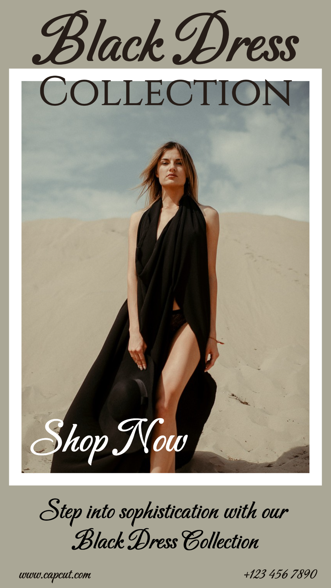 Clothing and Shoes - Marketing Poster Black Dress Collection Instagram Story