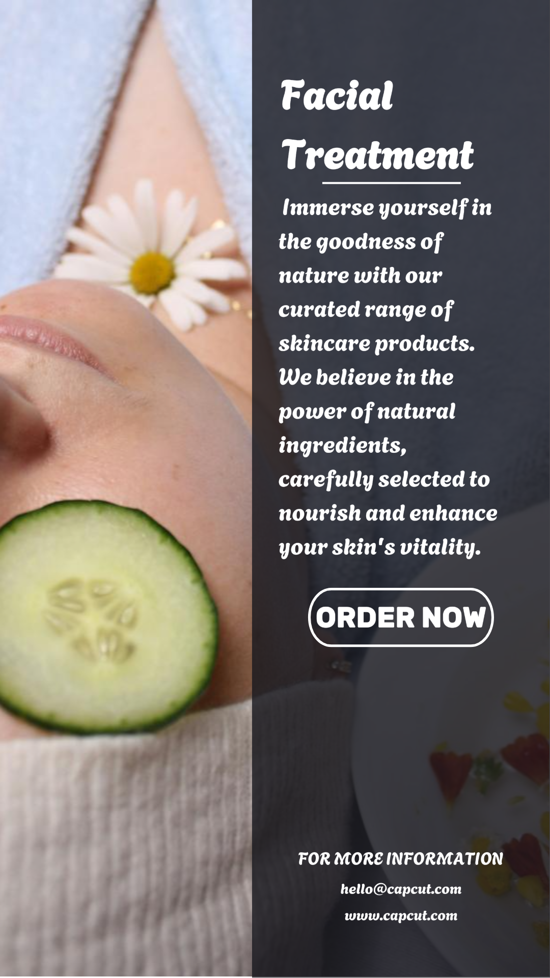 Beauty - Facial Treatment Instagram Story